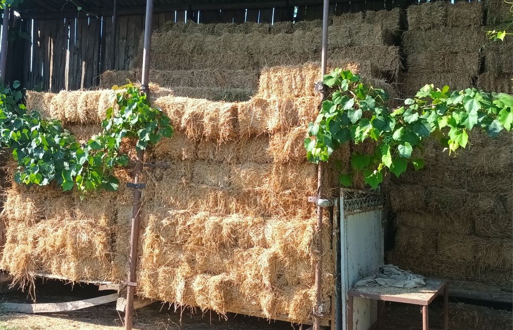 Vand baloti de lucerna