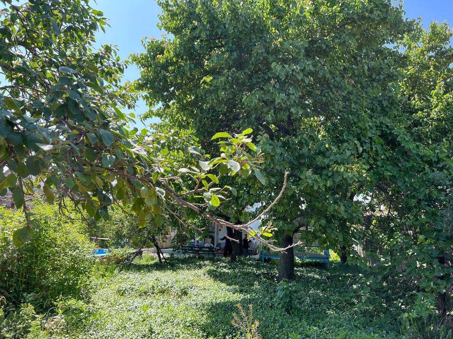 Продается Дача Ташморе