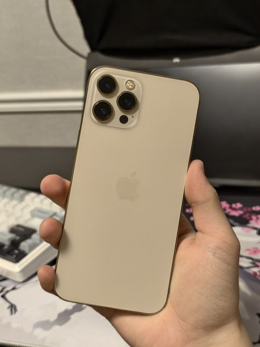 iPhone 12 pro max
