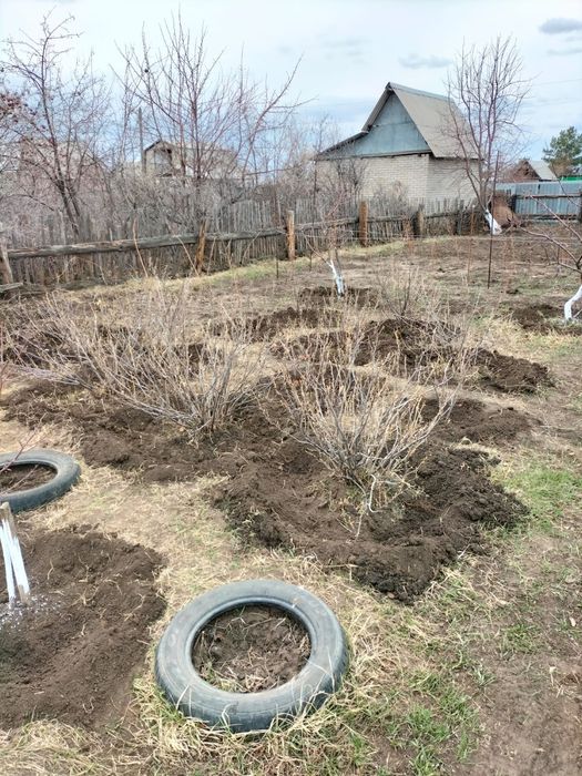Продам дачу СО "Пригородное"