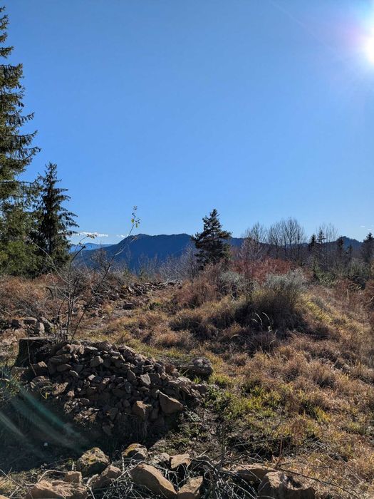 Продава се Парцел в Смолян, Езерово - 700 кв.м за 65 €/кв.м - Снимка #1