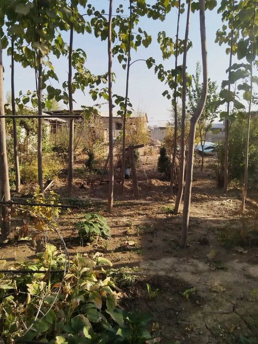 Продажа участок земля 13соток Бурота Чинобот №К56