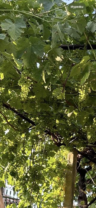 Продава се Къща в Бургас, Меден рудник - зона В - 100 кв.м за 450 €/кв.м - Снимка #8