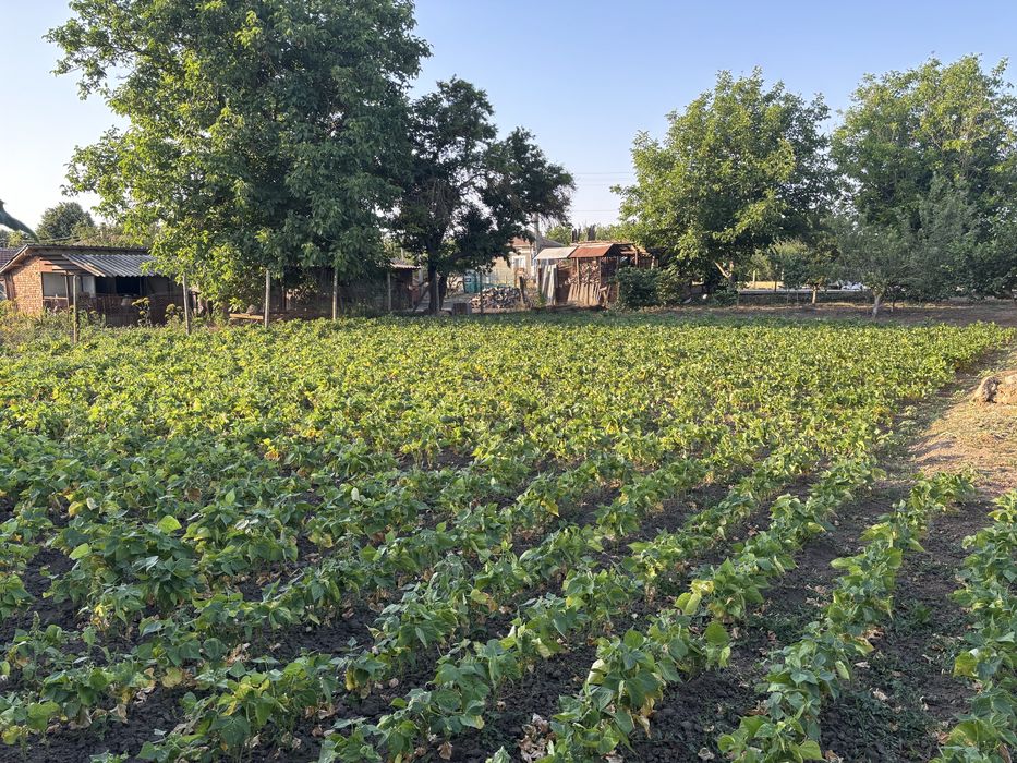 къща в с.Методиево