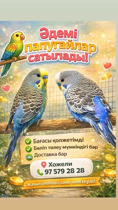 Папугай сатилади