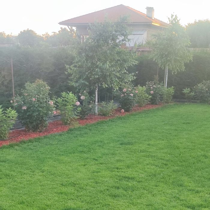 Топ Градинар - Поддръжка на Зелени Площи и Озеленяване!