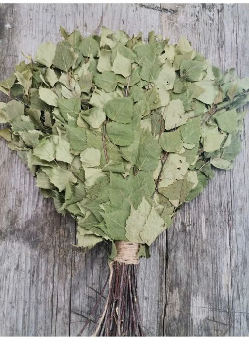 Баня веники березовые