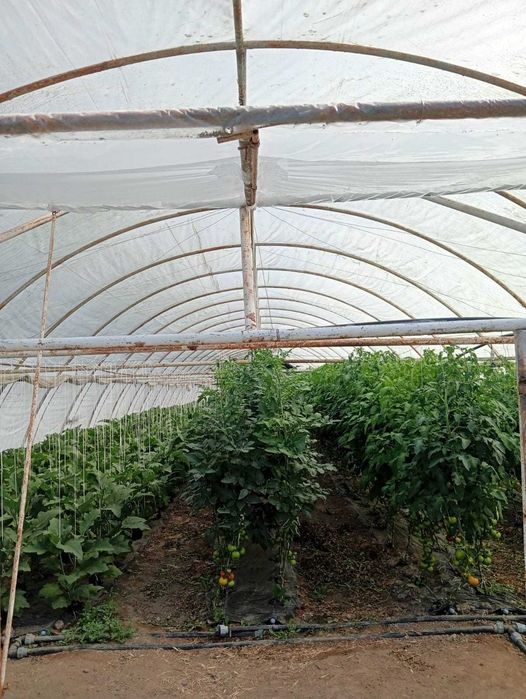 Solar pentru legume