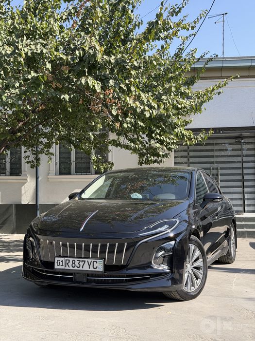Hongqi eqm5 500km