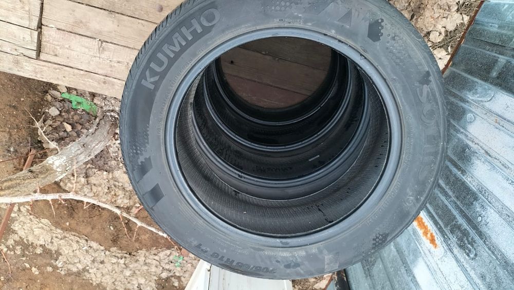 продам калисо лето