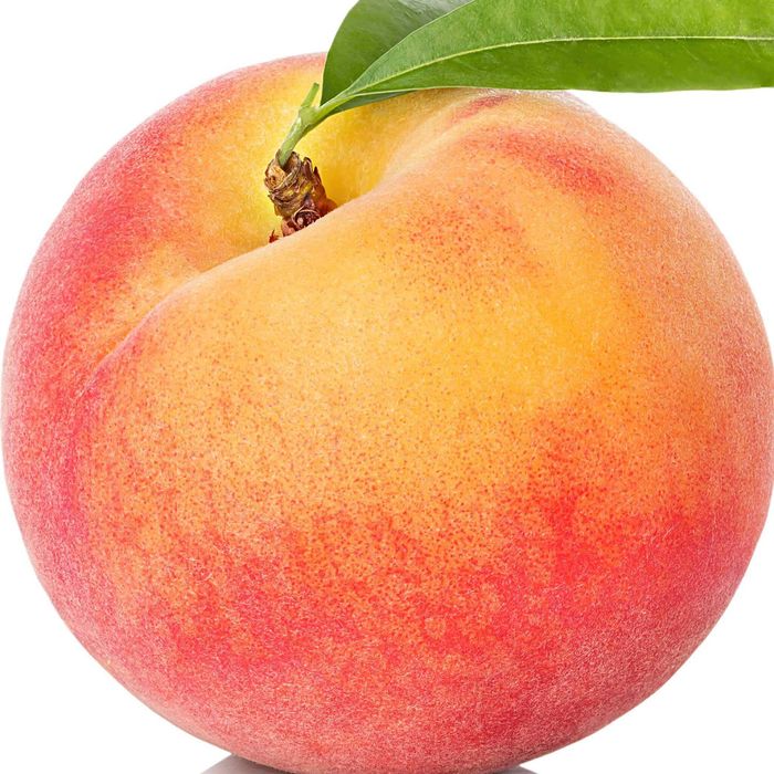 Мевали дарахтлар Кучат Нихол Дарахтча ШРЕДЕР