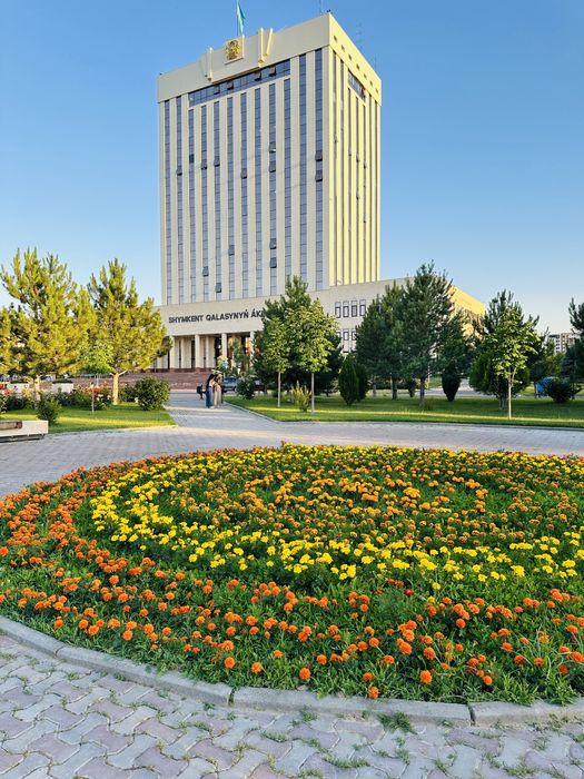 Медсестралық қызмет көрсету