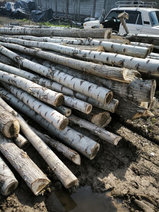 Terak sotiladi 430 oʻlchab kesilgan