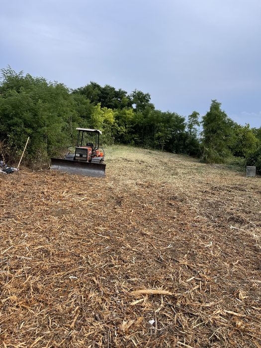 Defrisare, curatare teren, tocare forestiera