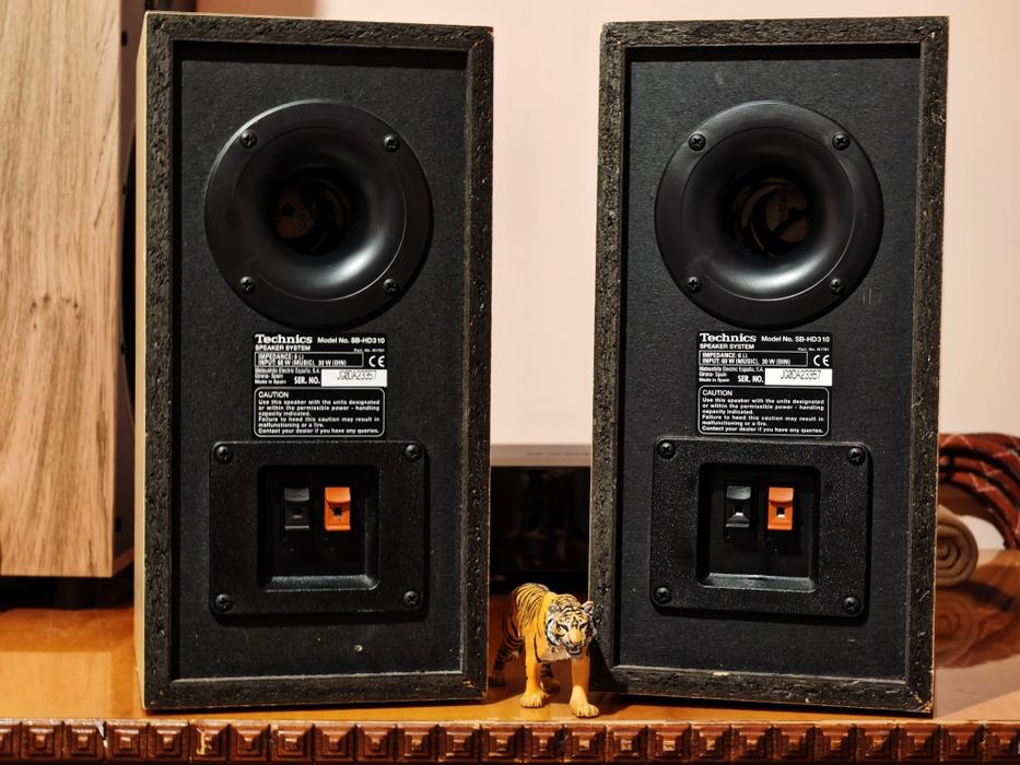 Technics SB-HD310. Boxe raft superbe. Sunet fin by Technics. Preț