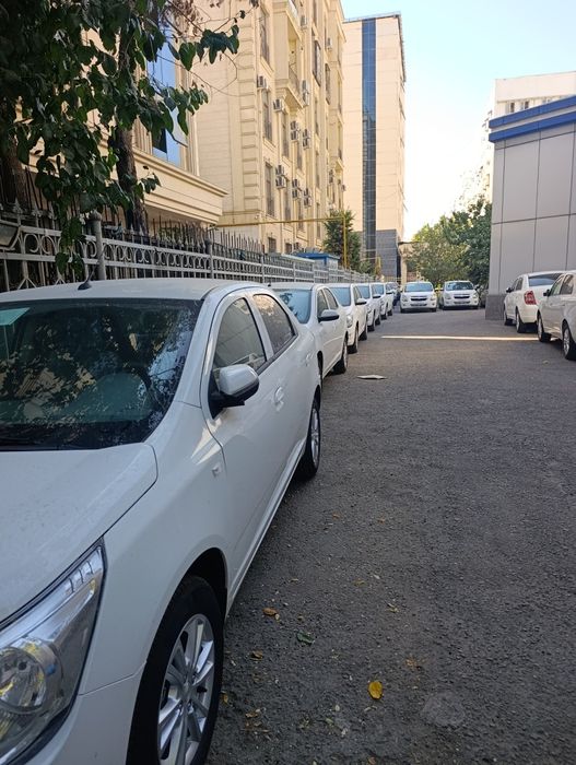 Cobalt bez probek Masla stayl 2025