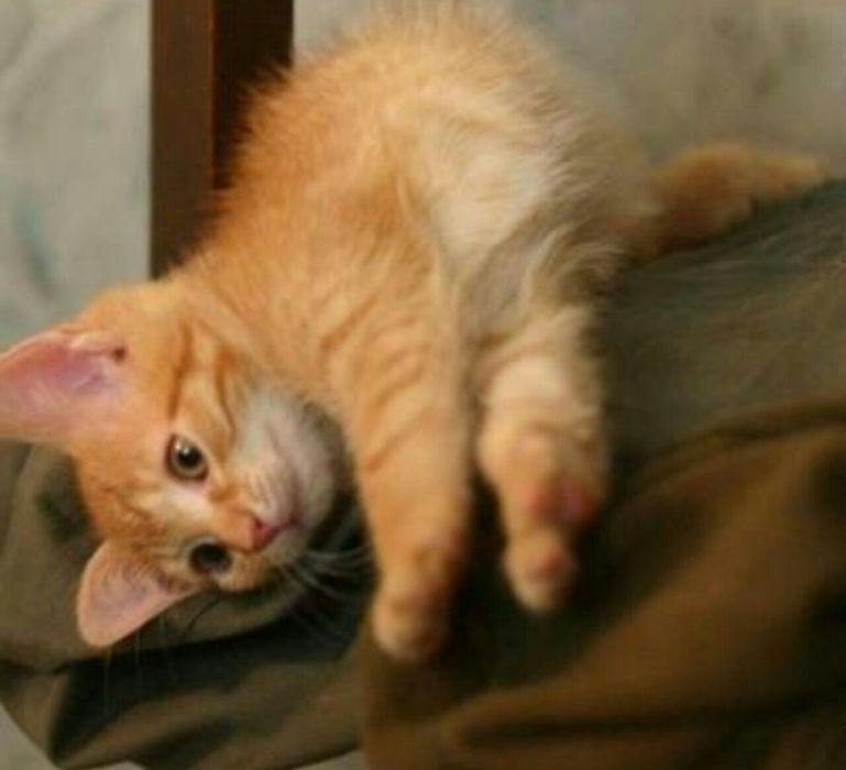 Rus porno orgazm xususiy