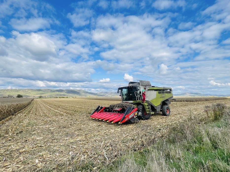 Porumb 500 tone -2025