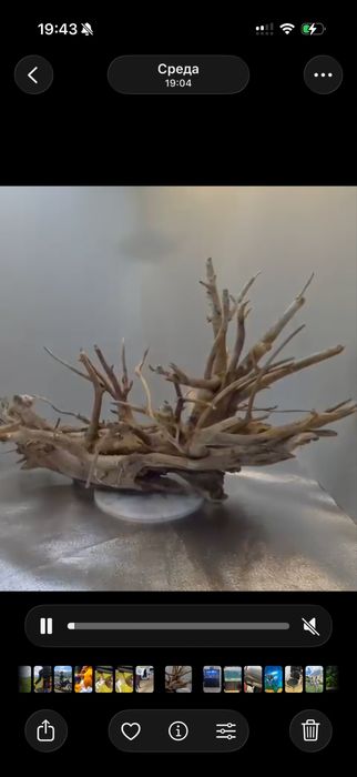 Коряга в аквариум Азалия