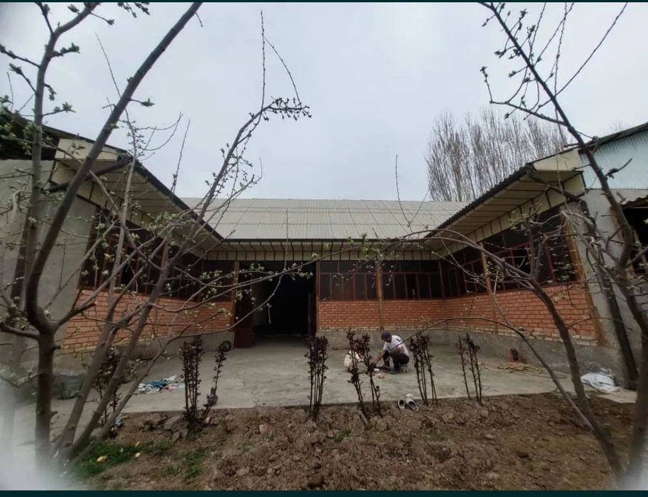 Шинамгина уй сотилади 6 сотихлик