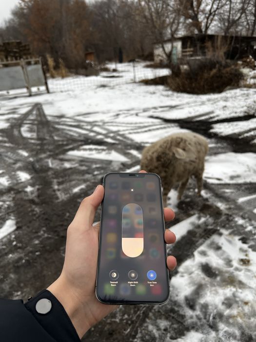 Айфон 12 про макс