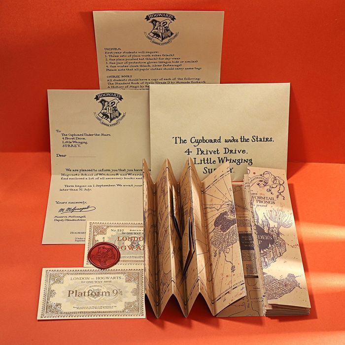 Рюкзак Harry Potter + Письмо из Хогвартса