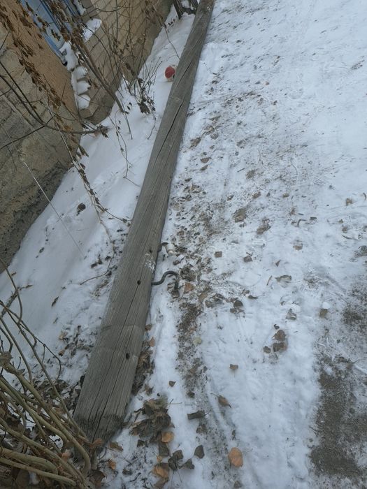 Кругляк столба балка дерево