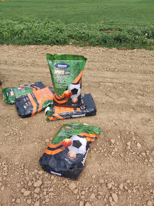 Gazon urug‘. Газон уруг