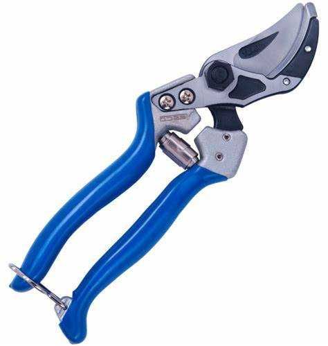 Foarfeci profesionale pomi si vie Vesco dublu tais, nicovala, bypass