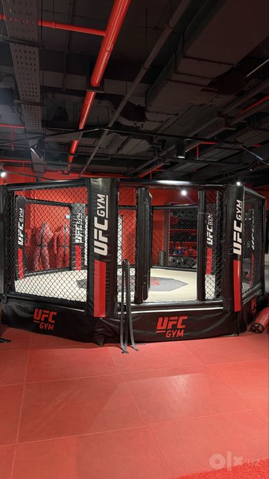 Октагон, сетка UFC