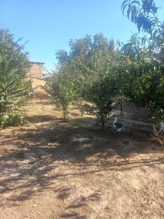Продается дом 5-комнат, 8-соток