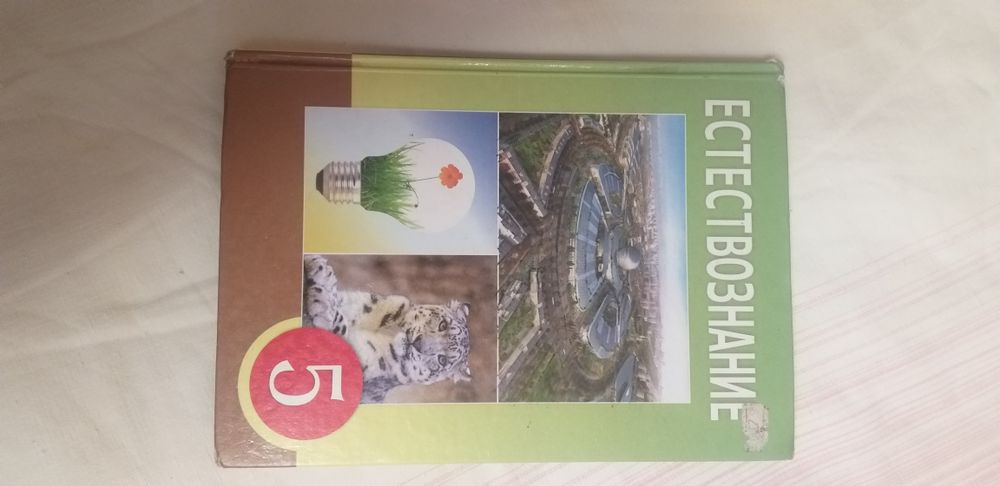 Учебники 5 класс