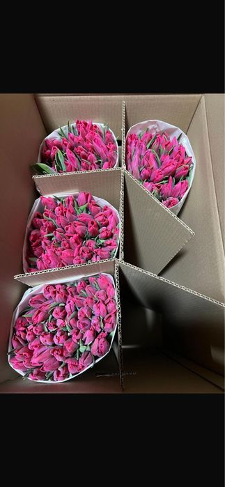 Цветы Тюльпаны Доставка