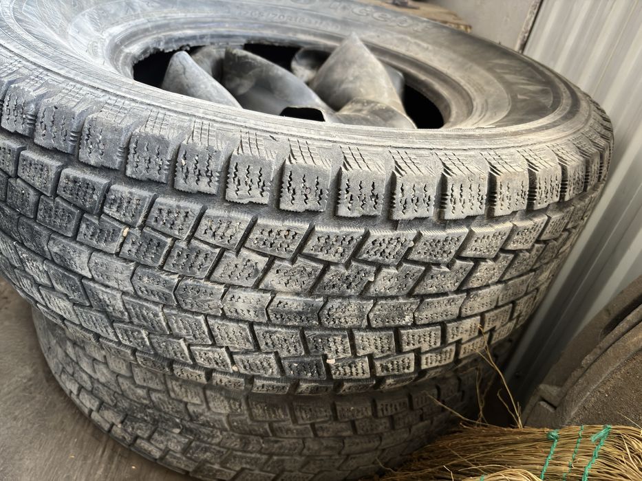 Покрышка 16 Hankook зимние