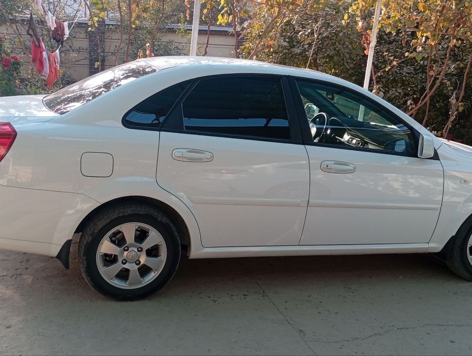 Jentra oq kraskasi toza