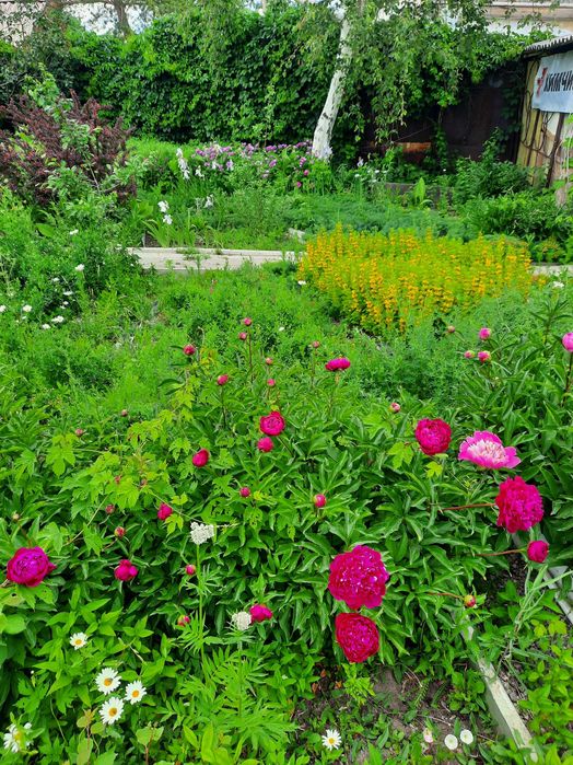 Продам Дачу на Кривом озере