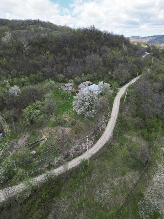 Vand casa la tara cu teren