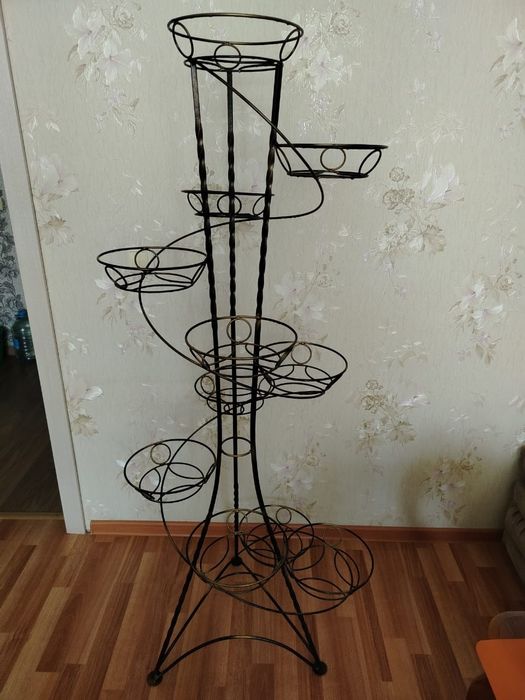 Продам комнатные цветы