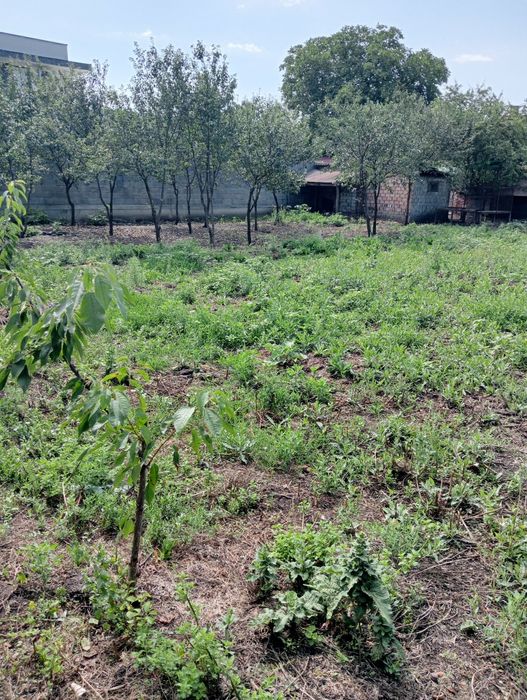 Casa de vanzare str fizesului Nr 17