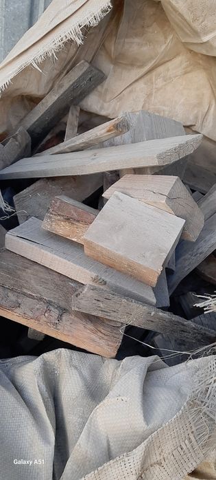 Уақ ағаштар кесілген