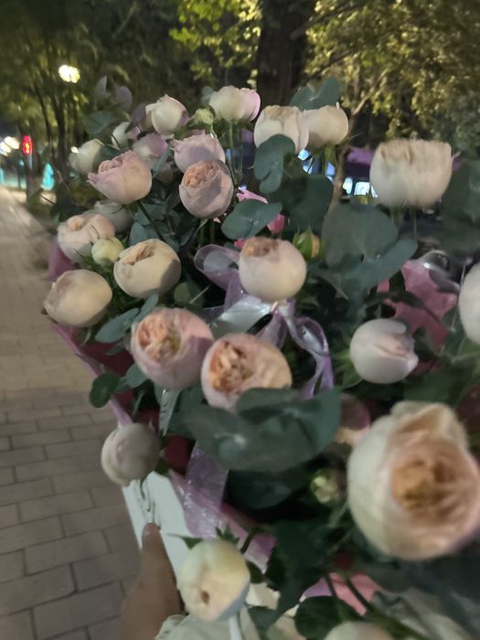 Пионидивный раушан 51 шт