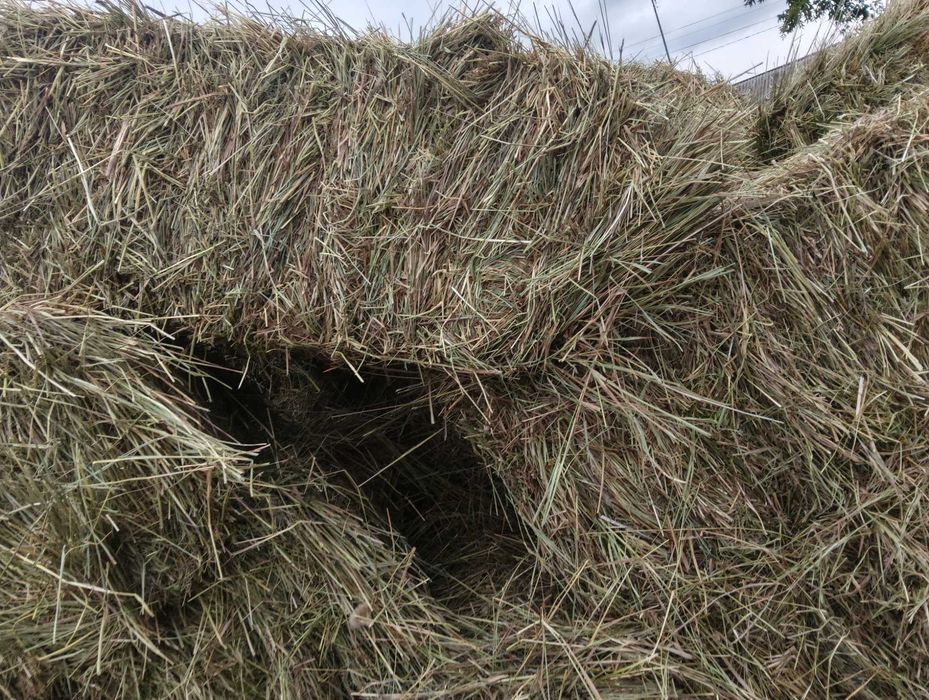 Сено в тюках разнотравие