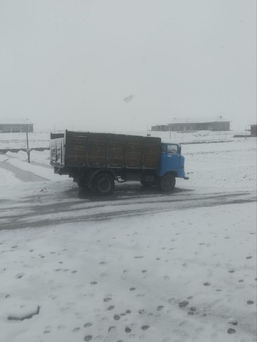 IFA V 50 Samarqand viloyati