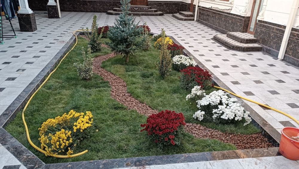 Optom gazon. Polif. Sistema