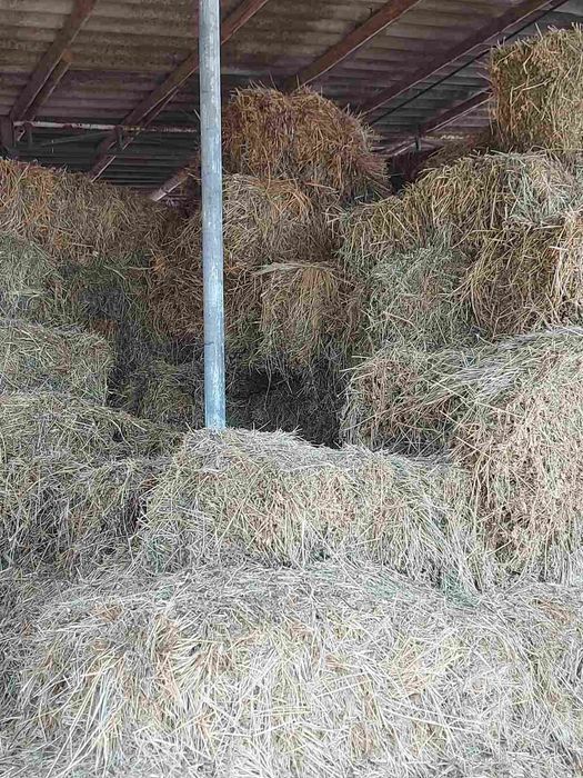 Люцерна  -  бали