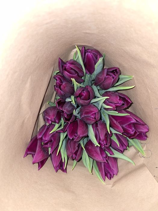 Тюльпаны оптом и в розницу