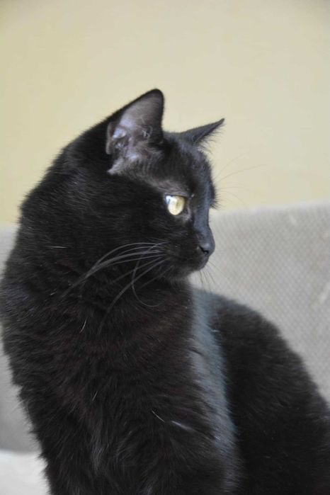 1-годишно момченце от Враца търси ДОМ