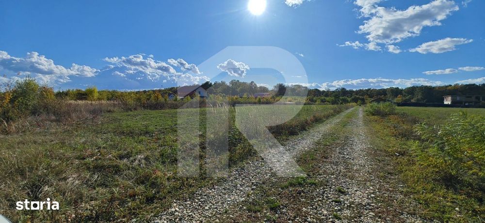 Refugiu la marginea padurii — 2822 mp de liniste in Cocani.