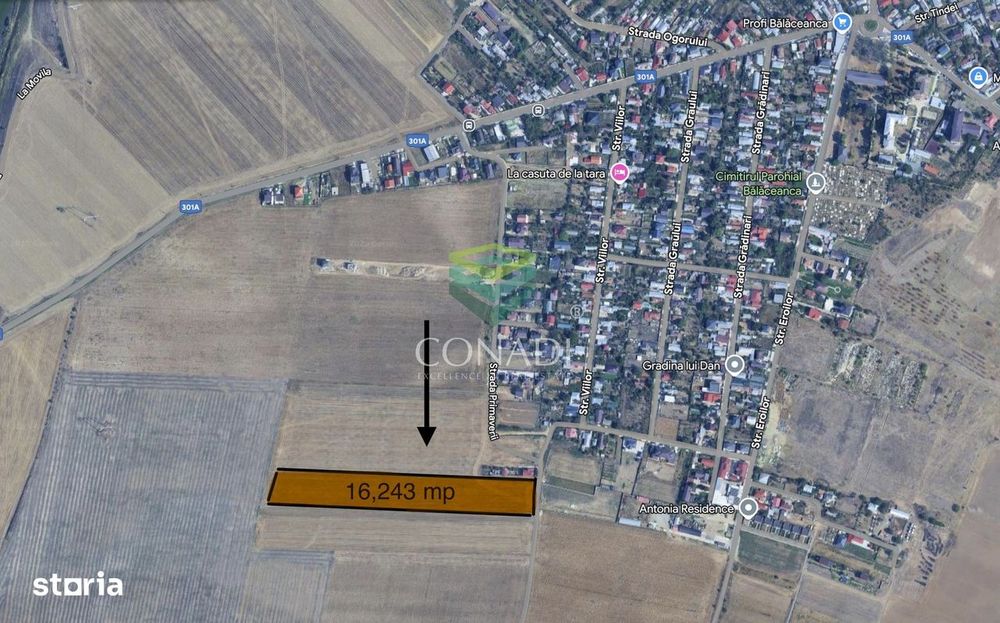 Teren de vanzare Cernica | Balaceanca | Proiect Vile cu PUD