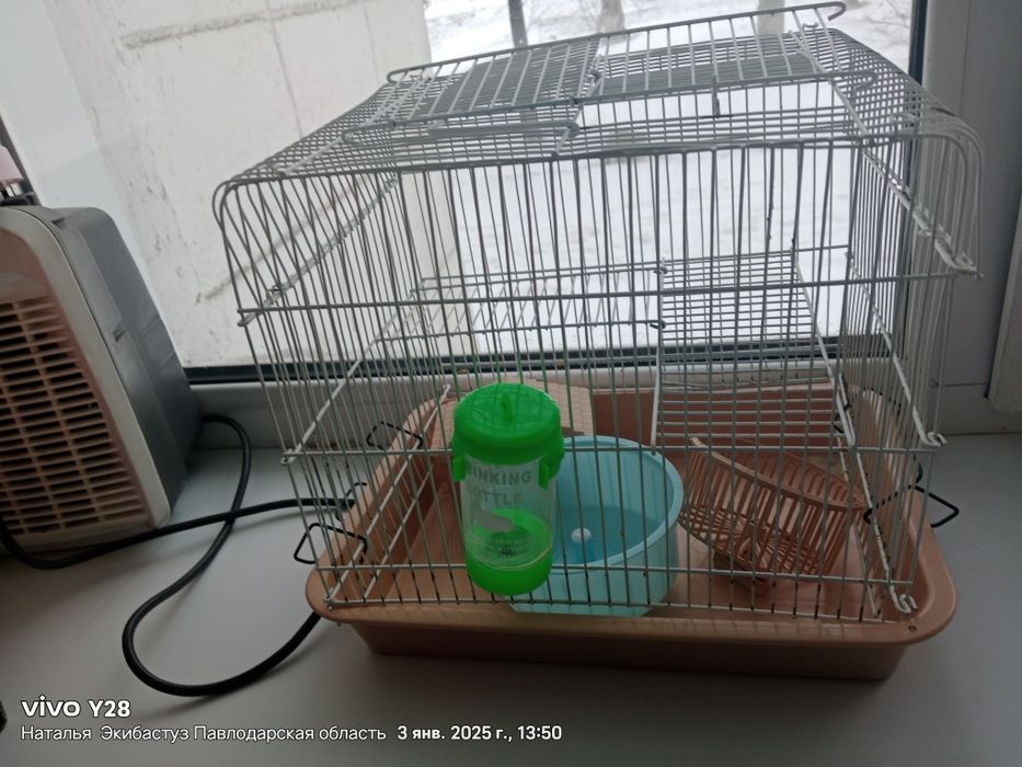 Продам хомячка джунгар